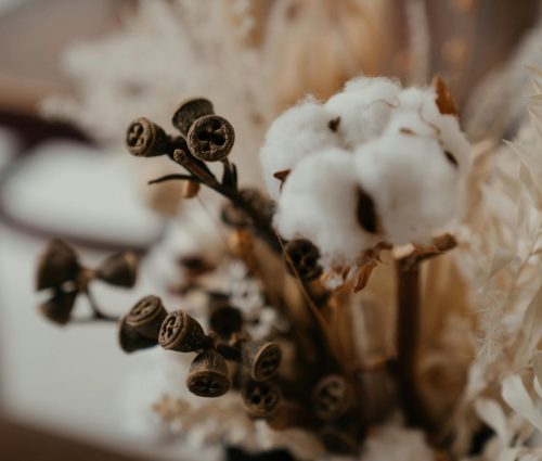 pexels-photo-4273426-4273426 Close-up of a beautiful arrangement featuring cotton buds and dried flowers for a natural decor look.