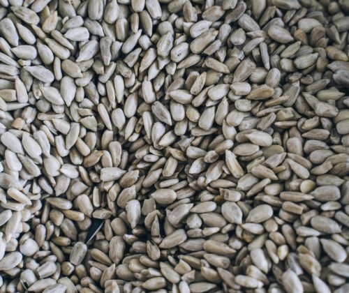 pexels-photo-7772001-7772001 High-resolution image of organic sunflower seeds, showcasing their texture and abundance.